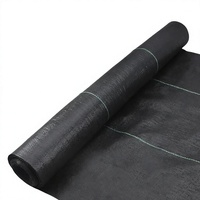 Toile de paillage durable 100g pour jardin, tapis anti-mauvaises herbes, couverture de sol pour l'agriculture