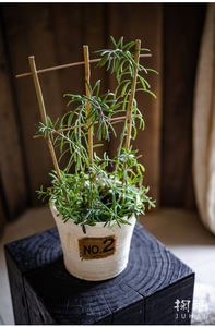 Échelle en <span class=keywords><strong>bambou</strong></span> à 4 niveaux, treillis naturel et écologique pour plantes potagères grimpantes, clôtures et portails - Product Image 5