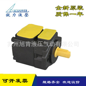 Pompe à engrenages Rexpower RGP-2A-F02R F03 F04 F05 F06 F08 F09 F11 F12R – Pompe hydraulique électrique quantitative à montage sur bride - Product Image 5