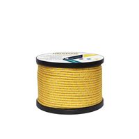 Corde d'escalade statique haute résistance 8mm 10mm 12mm en nylon réfléchissant Kernmantle pour le sauvetage, l'alpinisme et la sécurité en extérieur