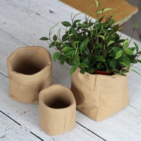 Sac en papier créatif forme succulentes jardinières conteneur jaune béton pot de fleur moules ciment pot de plante