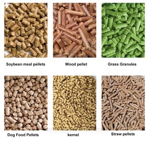 Nổi cá pelletizer Máy Chick broile tôm nguồn cấp dữ liệu động vật thức ăn pellelt máy - Product Image 5