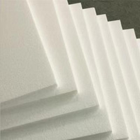 Panneaux de blocs de mousse d'isolation de panneau EPS en polystyrène blanc épaissi pour toit de mur extérieur