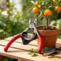 Fruitpluk schaar, tuin oogst schaar voor sinaasappel, appel, druif, fruitboom snoeien en bloemen trimmen