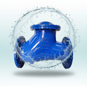 Vannes à <span class=keywords><strong>clapet</strong></span> à bille en fonte ductile pour applications industrielles de pompage des <span class=keywords><strong>eaux</strong></span> <span class=keywords><strong>usées</strong></span>, vanne <span class=keywords><strong>anti</strong></span>-<span class=keywords><strong>retour</strong></span> - Product Image 1