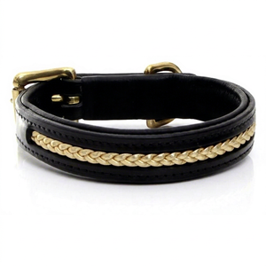 Premium Leather Dog <b>Collar</b> for Modern Pet Lifestyle Brands for Professional Pet Brands from Divine International - Product Image 1