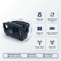 Kit de Válvula Hidráulica Proporcional Inalámbrica de Grado Industrial de 12V 24V y 4 Secciones para Grúa de Camión con Control Remoto por Radio