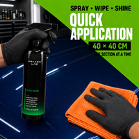 Cera en Aerosol de Detallado Rápido para Autos con Nanocerámica, Revestimiento de Pintura Hidrofóbico de Alto Brillo, Venta al Por Mayor, Marca Privada OEM