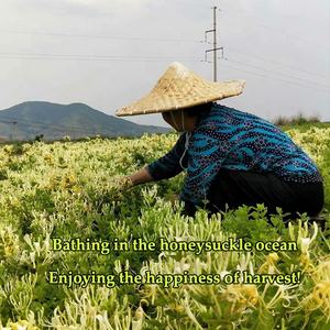 Xanadu folhas de mel soltas, folhas premium de ervas naturais para extrato de óleo - Product Image 4