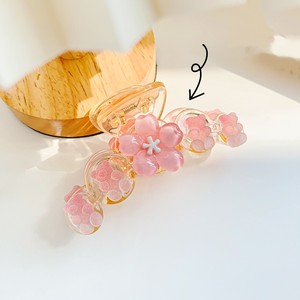 Pinza de Pelo Grande Transparente Estilo Coreano Popular de 10CM con Diseño de Macaron y Frutas, Pinza de Pelo Linda para Niñas, para la Parte Trasera de la Cabeza - Product Image 5