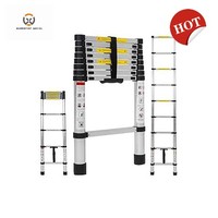 Échelles télescopiques industrielles en aluminium SURESTEP, design traditionnel EN131, capacité de charge 150 kg, 12 marches, compactes pour appartement et entrepôt