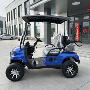 Carrito de Golf de 2 Plazas con Servicio Postventa de por Vida, Batería de Litio para Campo de Golf, Carga Rápida, Alcance de 100 km, Vehículo Eléctrico - Product Image 3