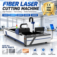 Machine de découpe laser à fibre rapide, découpeuse laser CNC pour plaques d'acier au carbone et acier inoxydable