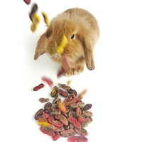 Meilleures ventes de légumes séchés au lapin, chinchilla, cochon d'inde, collations molaires de nutrition de hamster, nourriture pour animaux de compagnie