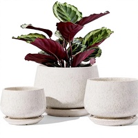 LE TAUCI Pot Tanaman Keramik Modern 41+51+65 Inci Set 3 Buah dengan Lapisan Reaktif, Lubang Drainase, Alas, Warna Beige, Pot Bunga Indoor, Hadiah