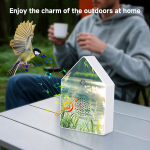 Caja de sonido de pájaro inteligente de moda ecológica impresa personalizada Yun, luz de activación inalámbrica, características de movimiento, alimentado por batería - Product Image 2