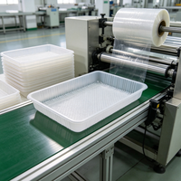 Vente Flash : Barquette en plastique rectangulaire jetable écologique avec fond quadrillé, parois côtelées et couvercle thermoscellable pour boulangerie, snacks et sandwichs