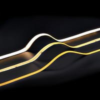 Светодиодная лента RGB IC Series Cob, 24В, 3 года гарантии, USB, PCB 10мм, 100м, 630 светодиодов, 10 IC, IP20, 5мм