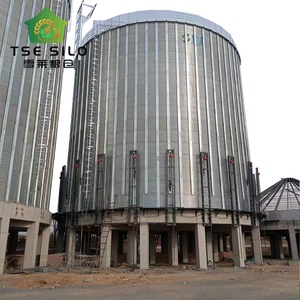 5000 طن من الفولاذ صويا أرز حبوب تخزين الحبوب سلة مسطحة الاسفل - Product Image 4