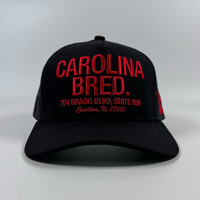 Gorra de béisbol de red de moda al aire libre OEM para adultos con bordado sombreros de camionero de perfil alto personalizados gorra de malla de alta calidad 5 paneles