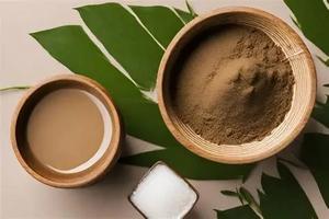 First-Roast Stem Hojicha Pulver, niedriger <span class=keywords><strong>Tannin</strong></span> gehalt, Anfänger freundlich - Product Image 3