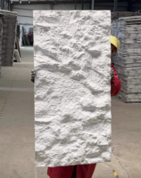 Panneau mural en pierre PU 3D grand format pour extérieur, idéal pour les chambres d'hôtel et les salles de bain, design moderne, écologique, ignifuge, imperméable, garantie 5 ans