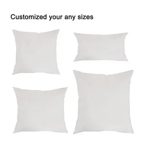 Wholesale Custom Deco Square Throw Pillow Custom Filling Weight White Feather Cushion Euro Pillow Insert For Sofa Floor Chair