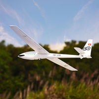 FMS 2500mm ASW-17 EP Planeur ARTF Rc Avions pour Adultes Télécommande Avion Hobby Rc Avions (PAS De Chargeur De Batterie Radio)