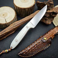 Couteau tactique de survie à manche en acrylique personnalisable OEM, lame fixe en acier inoxydable 5Cr15MoV pour la chasse