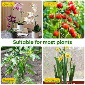Support de plante à tige unique Supports d'anneaux en fil métallique Support en métal vert pour tomates orchidées <span class=keywords><strong>Amaryllis</strong></span> Lily Rose utilisées avec de l'herbe - Product Image 6