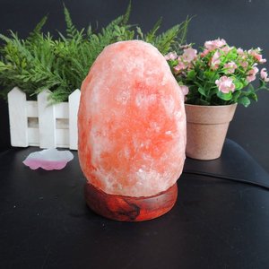 Lámparas de Sal del Himalaya Talladas a Mano, Ladrillos de Sal del Himalaya, Venta al Por Mayor del Fabricante - Product Image 4