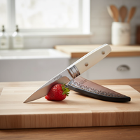 Couteau à fruits, couteau de barbecue, couteau de chasse à lame fixe en acier 3CR13 avec manche en résine OEM de haute qualité, étui en cuir de vachette pour camping en extérieur