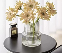 Vase de table hydroponique en verre cylindrique transparent RYLAVA, design moderne à rayures verticales, personnalisable pour la maison et les mariages