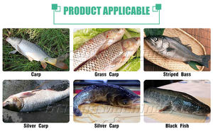 เครื่องหั่นปลาอัตโนมัติเครื่องตัดปลา - Product Image 3