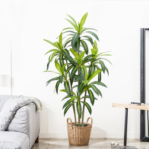 Hot Bán Nhân Tạo Mô Phỏng Brazil Gỗ <span class=keywords><strong>Dracaena</strong></span> Sàn Cây Trong Chậu Cho Đám Cưới Ngoài Trời Trang Trí Nội Thất Cây Cảnh Cây - Product Image 2