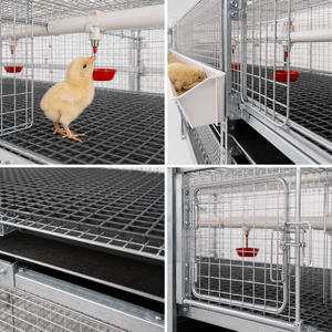 Cages d'élevage de poulets de type H pour la ponte des poules pondeuses, fabriquées par des professionnels, à <span class=keywords><strong>vendre</strong></span> - Product Image 5