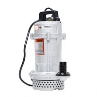 Pompe submersible 1 pouce de débit, moteur monophasé, turbine en acier inoxydable, boîtier en aluminium, résistante à la corrosion pour