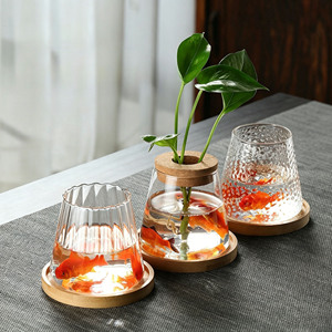 Terrarium en verre Art Déco vibrant et énergique pour bureau, vente en gros, petits vases en verre transparents pour plantes hydroponiques avec couvercle en liège pour la maison - Product Image 1