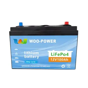Batterie au lithium-phosphate de fer de capacité de sortie d'usine batterie au lithium 12V 24V avec BMS pour les appareils ménagers