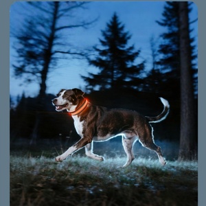 <span class=keywords><strong>Collar</strong></span> de Perro LED Súper Brillante, Totalmente Impermeable, Ajustable, con Luz, Recargable por USB, para Caminatas Nocturnas, <span class=keywords><strong>Collar</strong></span> de Seguridad para Perros - Product Image 6