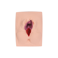 Maniquí de Entrenamiento Profesional DARHMMY para Reparación Perineal con Incisión Tangencial, Simulador de Sutura de Episiotomía de Alta Fidelidad