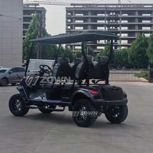 Tendance 2026 : Voiturette de golf électrique 6 places homologuée route, avec batterie lithium 48V, pour la chasse et le golf - Product Image 4