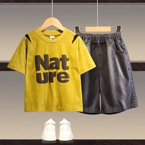 Ensemble de vêtements pour garçons avec logo personnalisé, ensemble de sweat-shirts et de <span class=keywords><strong>t</strong></span>-shirts en coton brodé rétro délavé à l'acide, vêtements de sport pour enfants - Product Image 6