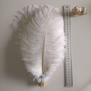 Großhandel Hochwertige Federn 15-80cm Gefärbte Straußen federn für Hochzeit/DIY Herstellung/Festlich/Karneval/Hut/Home Decoration - Product Image 6