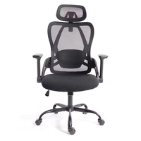 Chaise de bureau en maille noire ergonomique avec support lombaire réglable, accoudoirs pivotants, hauteur réglable pour usage au bureau