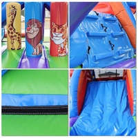 Château gonflable avec toboggan, grand équipement d'amusement extérieur, château gonflable pour enfants avec toboggan, toboggans aquatiques gonflables