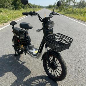 New Wholesale Price High Speed Electronic EBike Fat Tire 20 Inches 3 Speed 50km Brushless Rear <b>Hub</b> Motor - Product Image 4