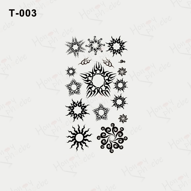T-003