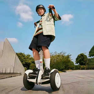 Ninebot Original Mini Pro 2 สกู๊ตเตอร์ไฟฟ้าทรงตัวอัตโนมัติอัจฉริยะ AI ส่วนบุคคล ขายดี - Product Image 2