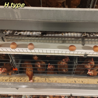 Vente flash Poules pondeuses Cage de type H Personnalisable à bon prix